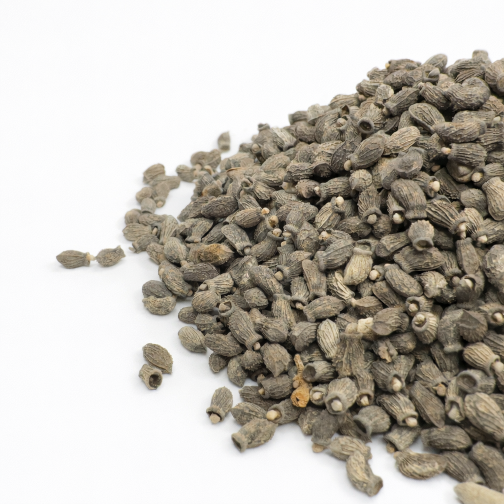 Borre - frø til mikrogrønt