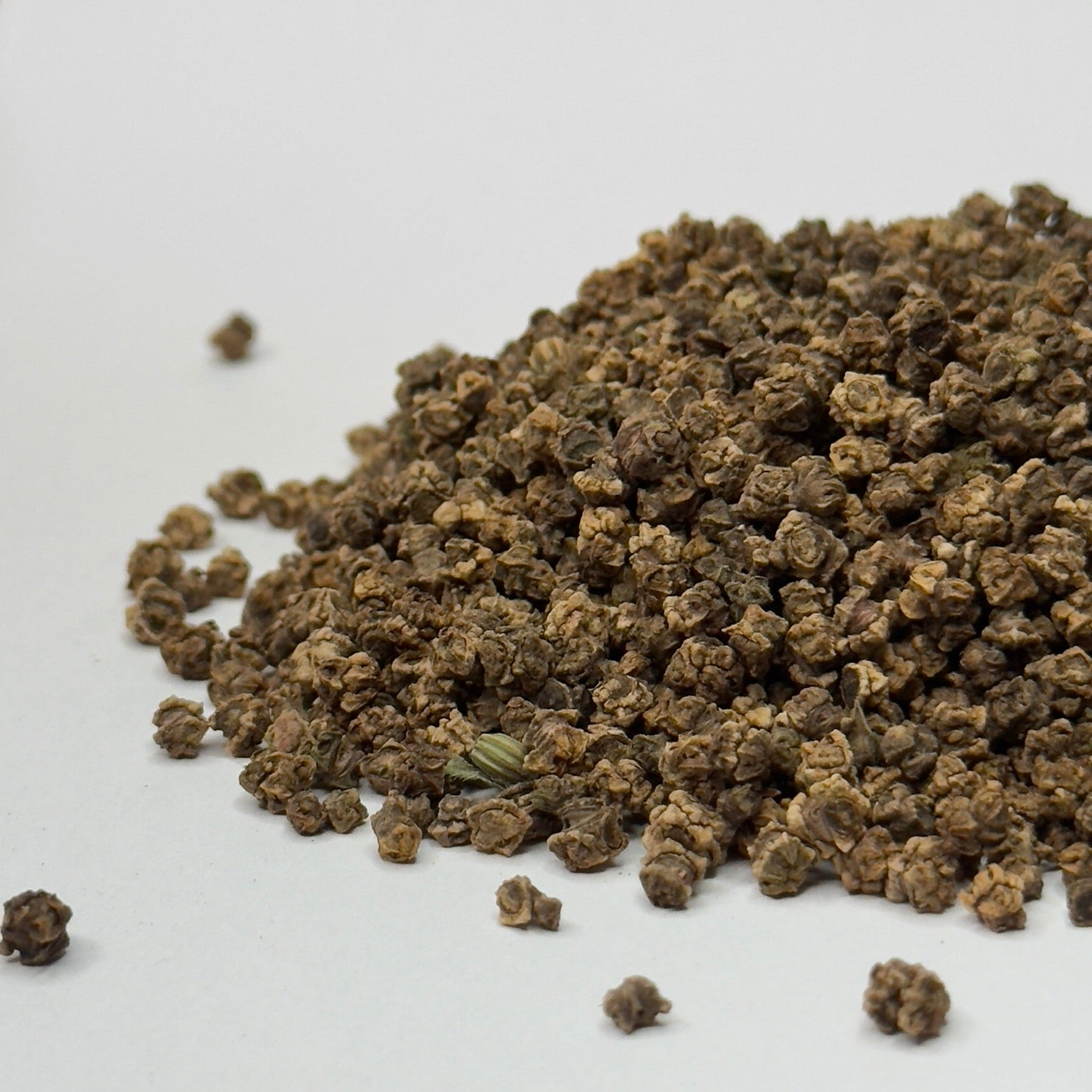 Буряк, Кров Бика - насіння мікрозелені