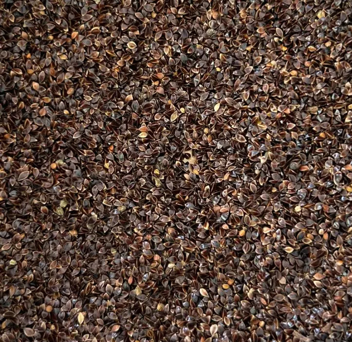 Sorrel, Green - microgreen seeds