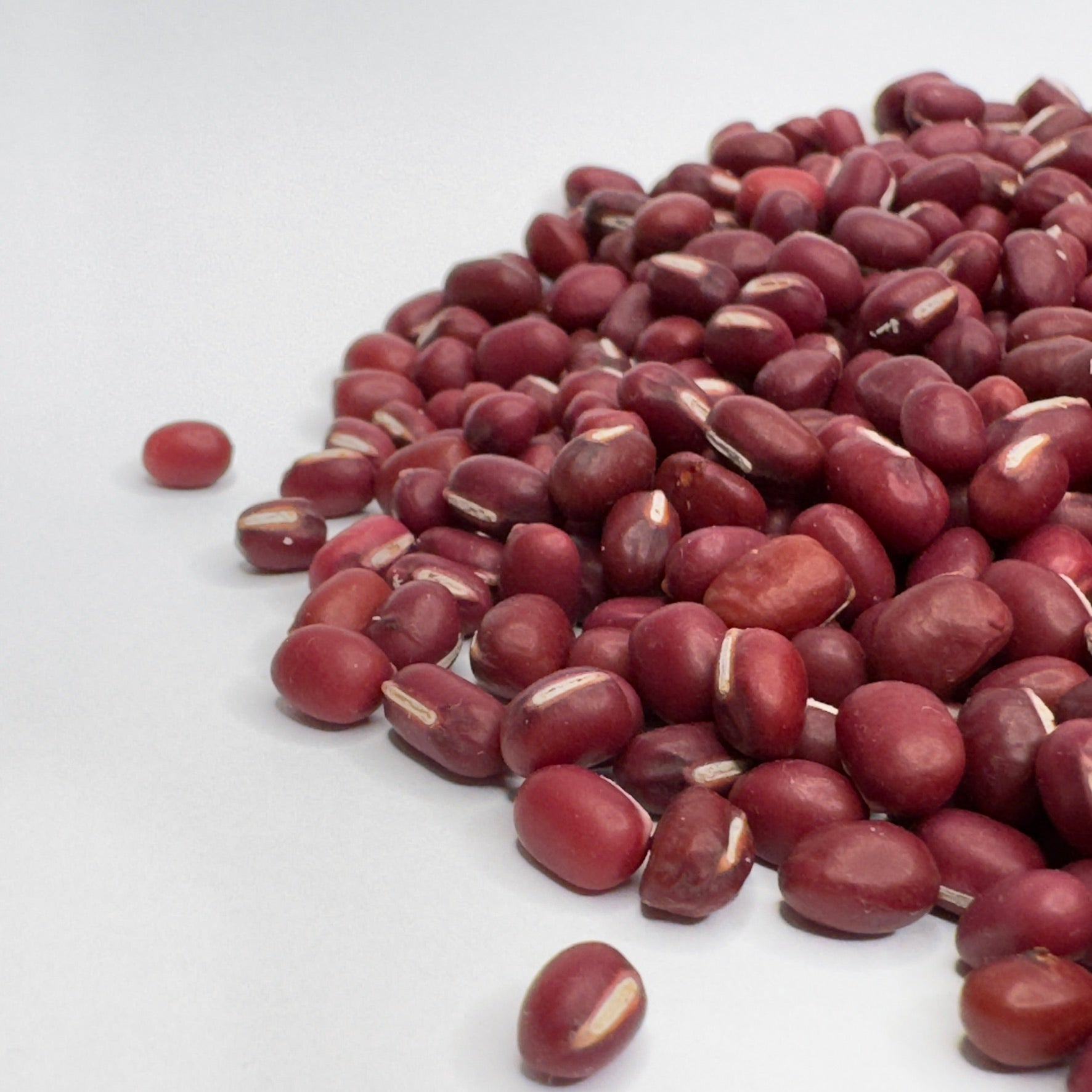 Adzuki Bean - microgreens seeds for growing