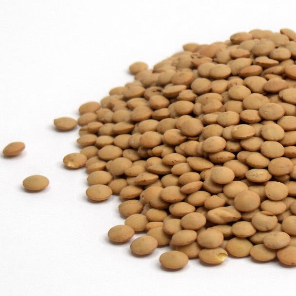 Lentil, Green - microgreens seeds for growing