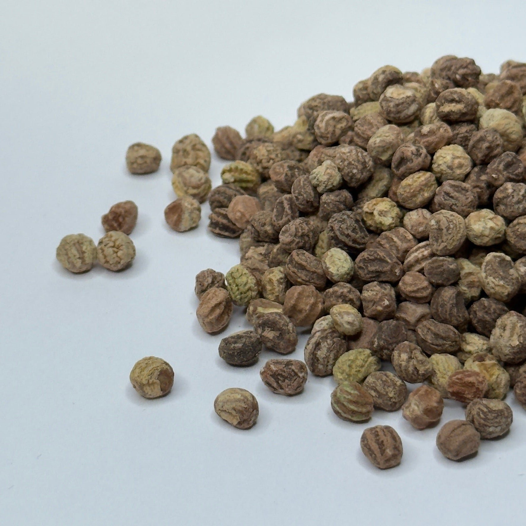Nasturtium Alaskan Green - microgreens seeds for growing