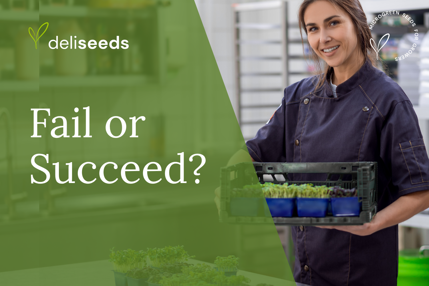 Why Most Microgreens Businesses Fail (and How to Succeed)