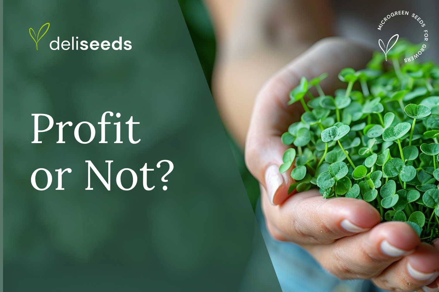 Is a Microgreens Business Profitable? A Financial Guide