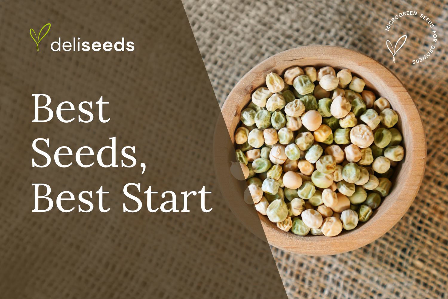 How to Source Microgreens Seeds and Supplies