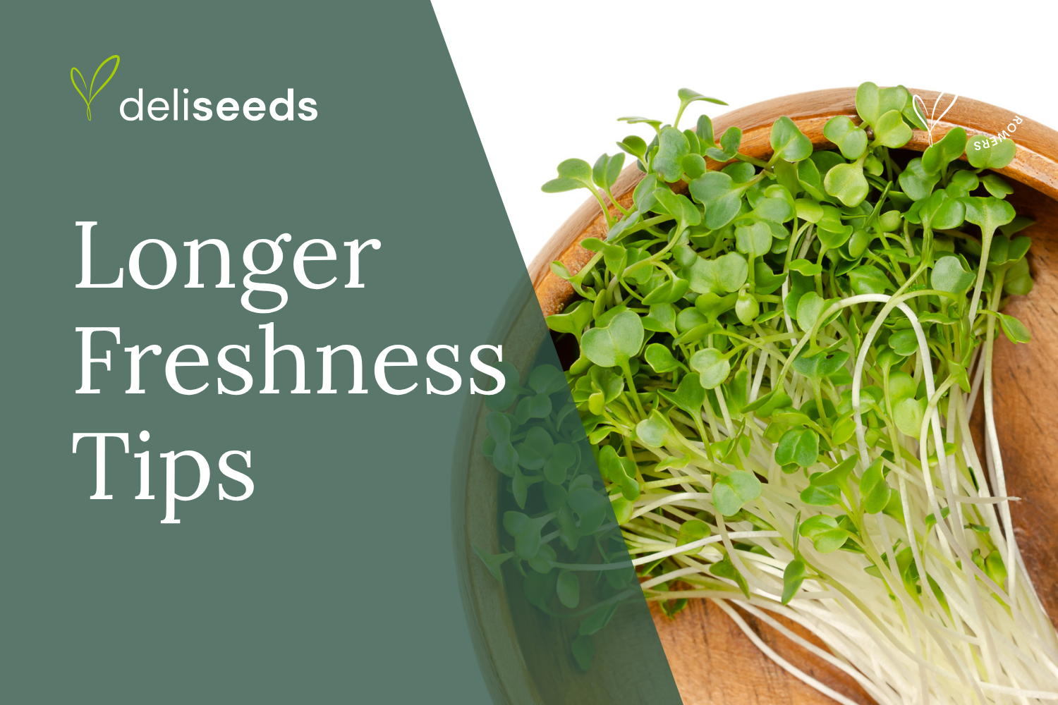 Maximize Microgreens Shelf Life: A Post-Harvest Guide