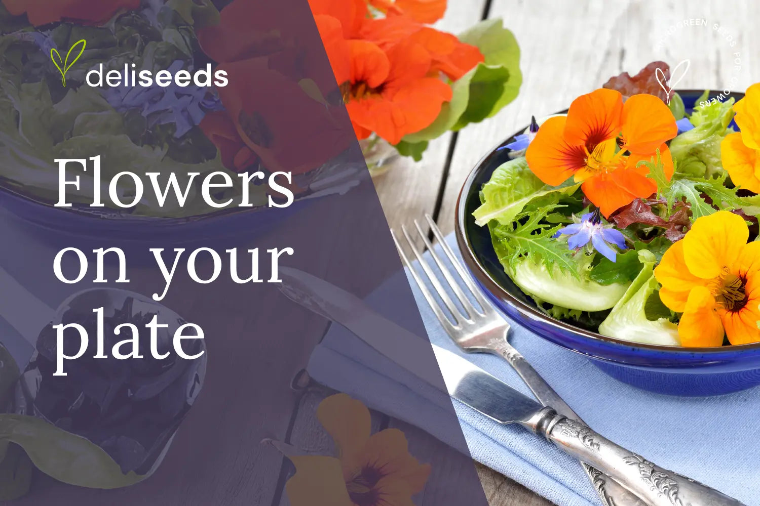 Edible-Flowers-The-Complete-Guide-to-Growing-Using-Nature-s-Culinary-Art Deliseeds