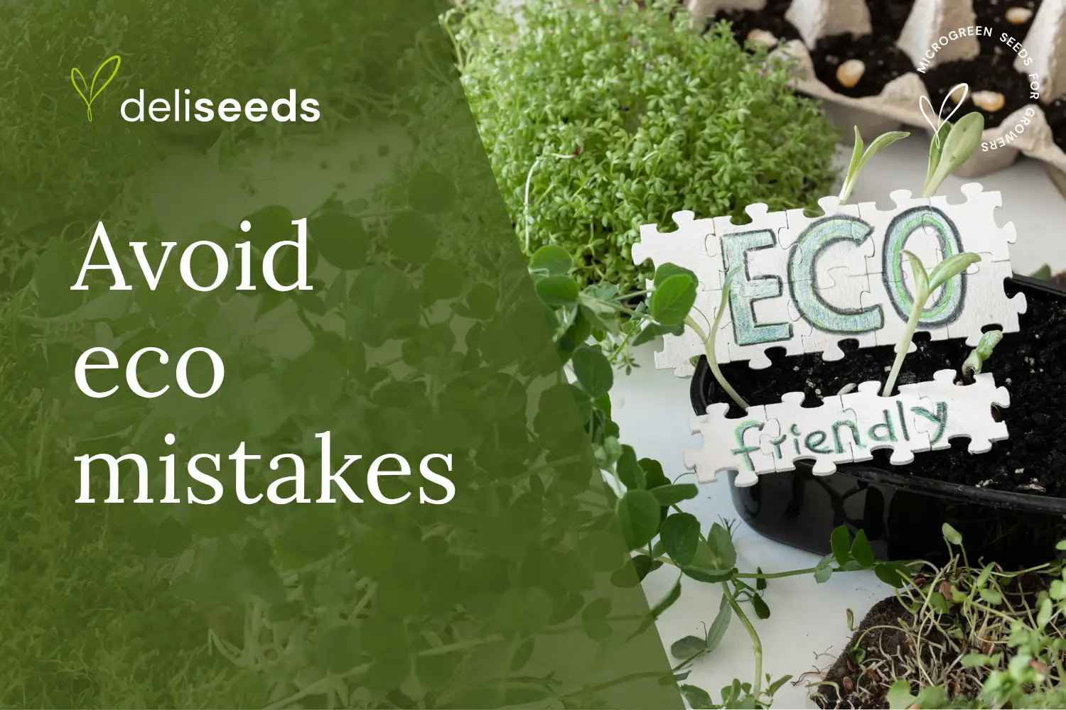 Garden-Greenwashing-5-Common-Eco-Gardening-Mistakes-to-Avoid Deliseeds