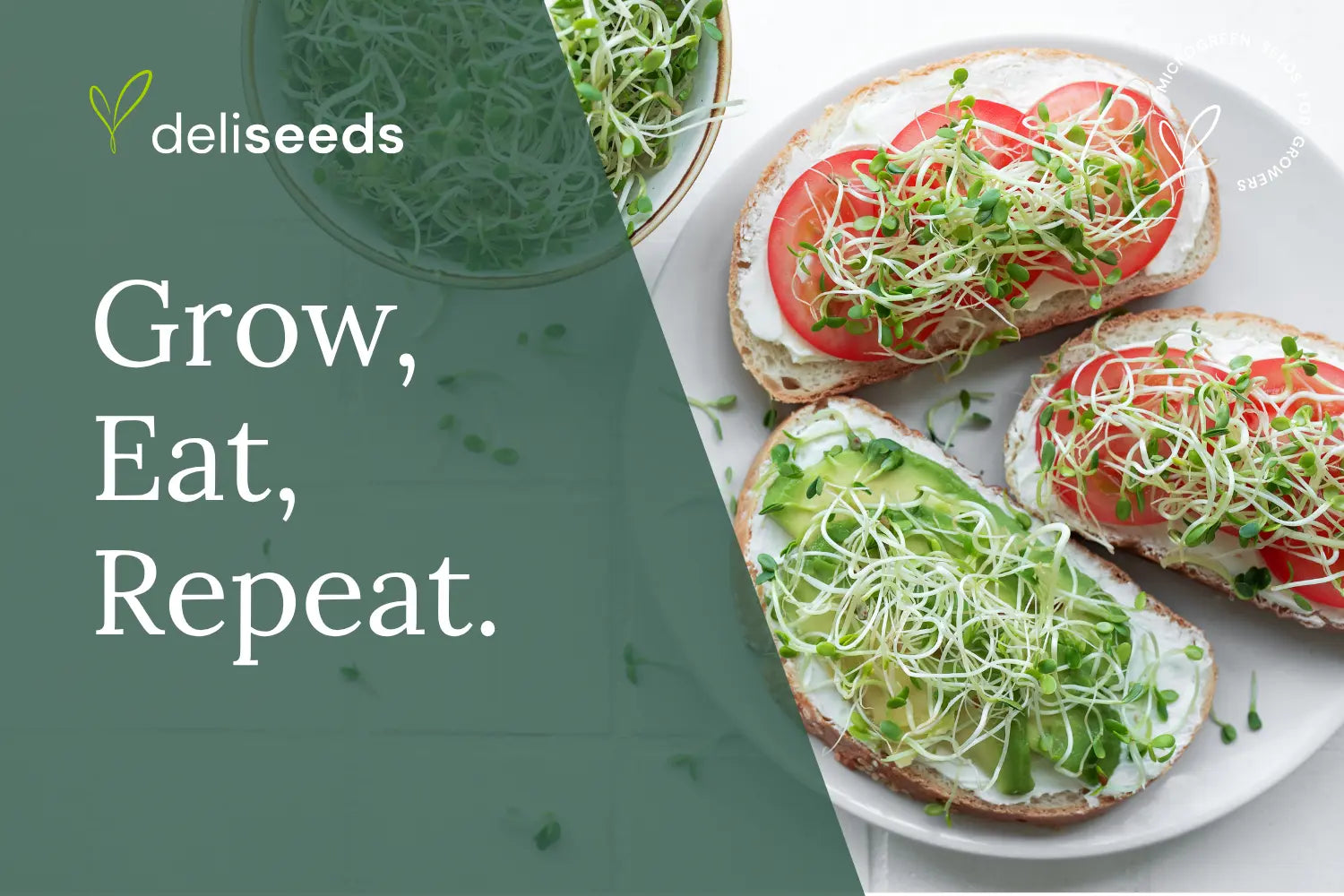 Grow-Eat-Repeat-Creating-a-Closed-Loop-Food-System-in-Your-Apartment Deliseeds