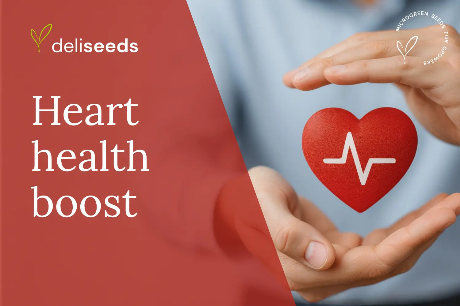 Lower-Cholesterol-Naturally-with-Red-Cabbage-Microgreens Deliseeds