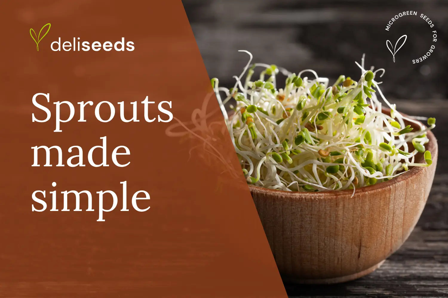 Sprouting-Seeds-How-to-Start-Growing-Superfoods-in-a-Jar-Home-Guide-101 Deliseeds