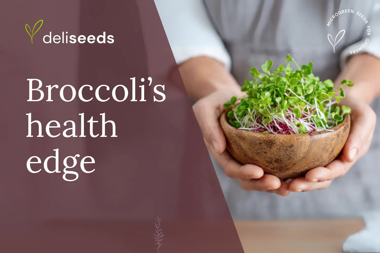 Unlocking-Sulforaphane-Why-Broccoli-Microgreens-Are-a-Health-Game-Changer Deliseeds