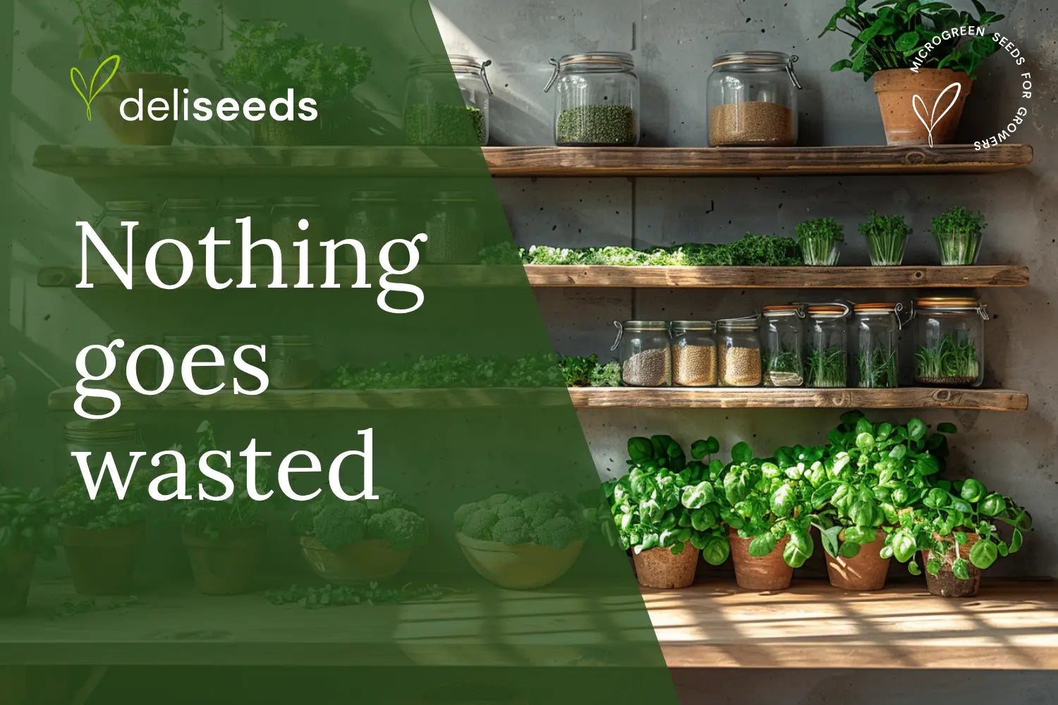 Zero-Waste-Kitchen-A-Guide-to-Using-Microgreens Deliseeds