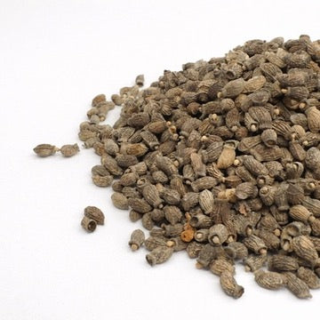 Borragine - semi per germogli giovani