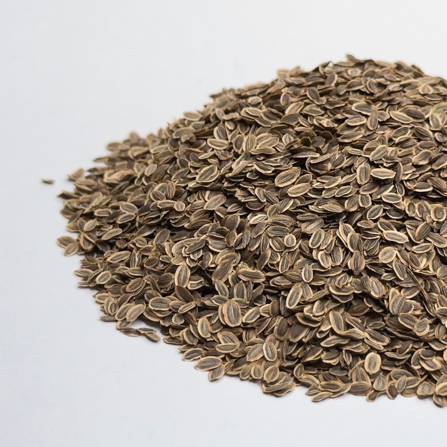 Dille - microgroentezaden