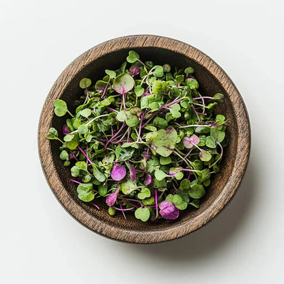 Radish China Rose - microgreen seeds 