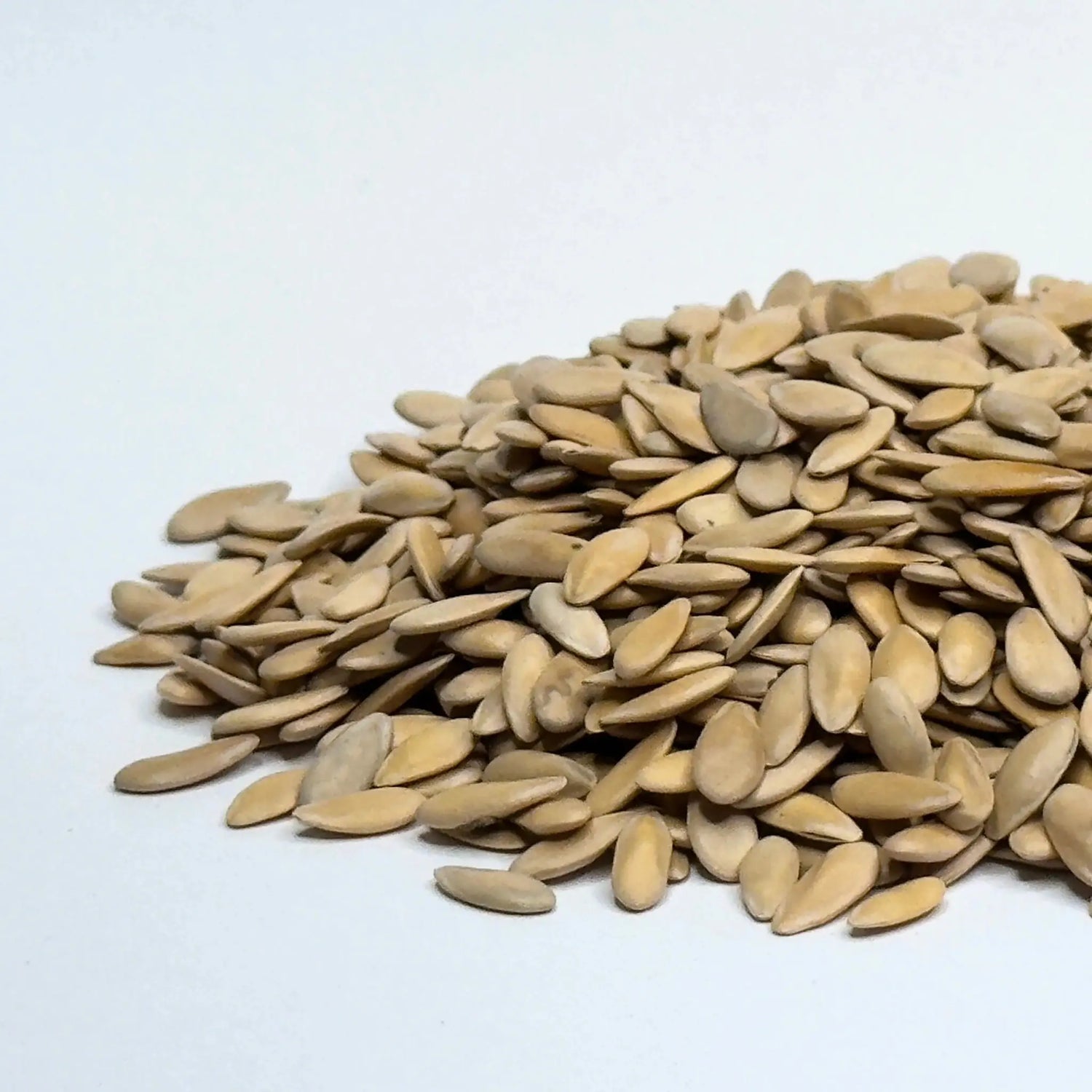 5+ Melon Microgreen Seeds Melon Cantaloupe Microgreens Seeds | Sweet Aroma | Rare Specialty