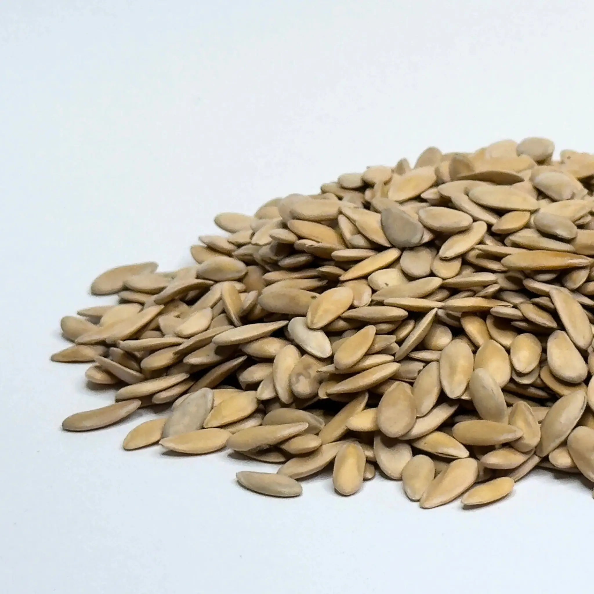 Melon Cantaloupe - microgreens seeds 