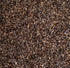 Sorrel, Green - microgreen seeds 