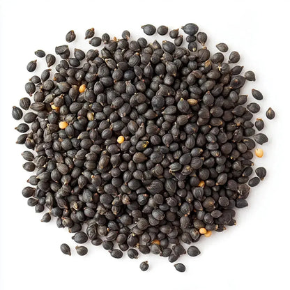 Broccoli Calabrese Microgreen Seeds 