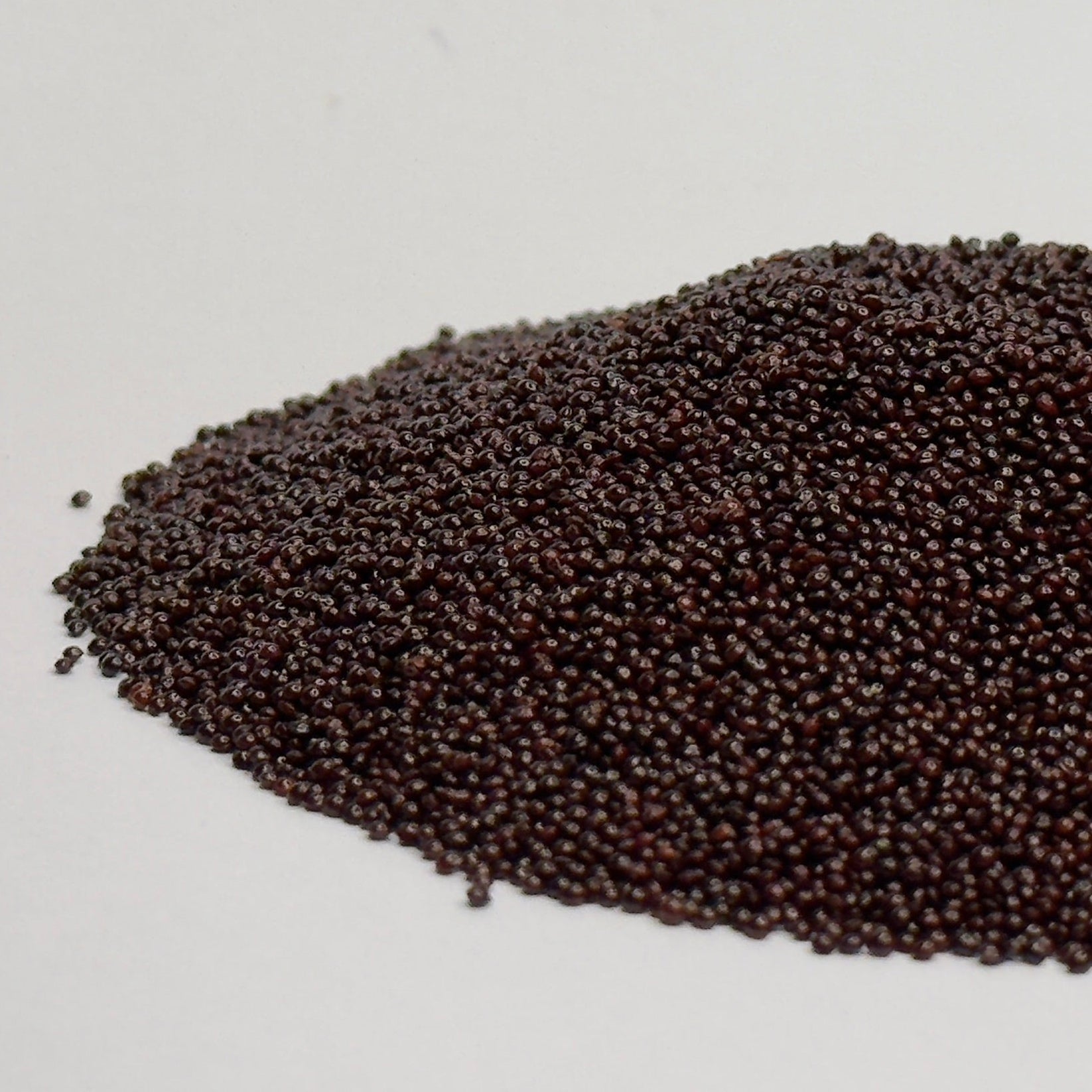 Amaranth, Red (black seeds) - microgreens seeds for growing