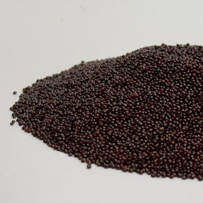 Amaranth, Red (black seeds) - microgreens seeds for growing