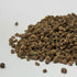Beet, Bull’s Blood  - microgreens seeds for growing