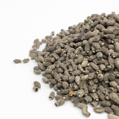 Borage - microgreens seeds for growing