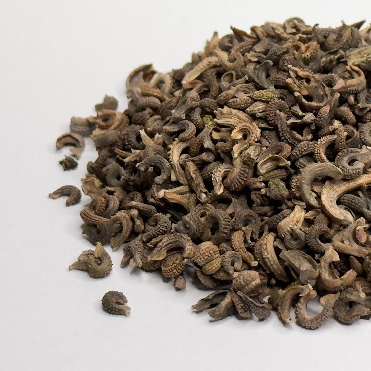 Calendula (Pot Marigold) - microgreens seeds for growing