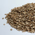 Coriander Split (Cilantro) - microgreens seeds for growing