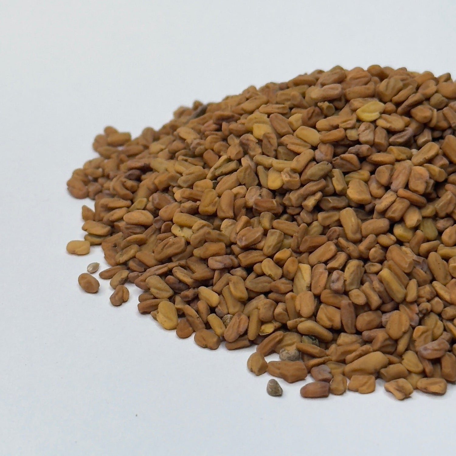Fenugreek - microgreens seeds for growing