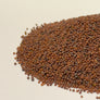 Mustard, Red - microgreens seeds for growing