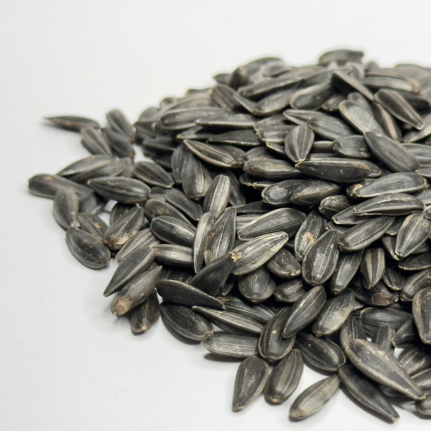 Organic Sunflower - microgreens seeds for growing