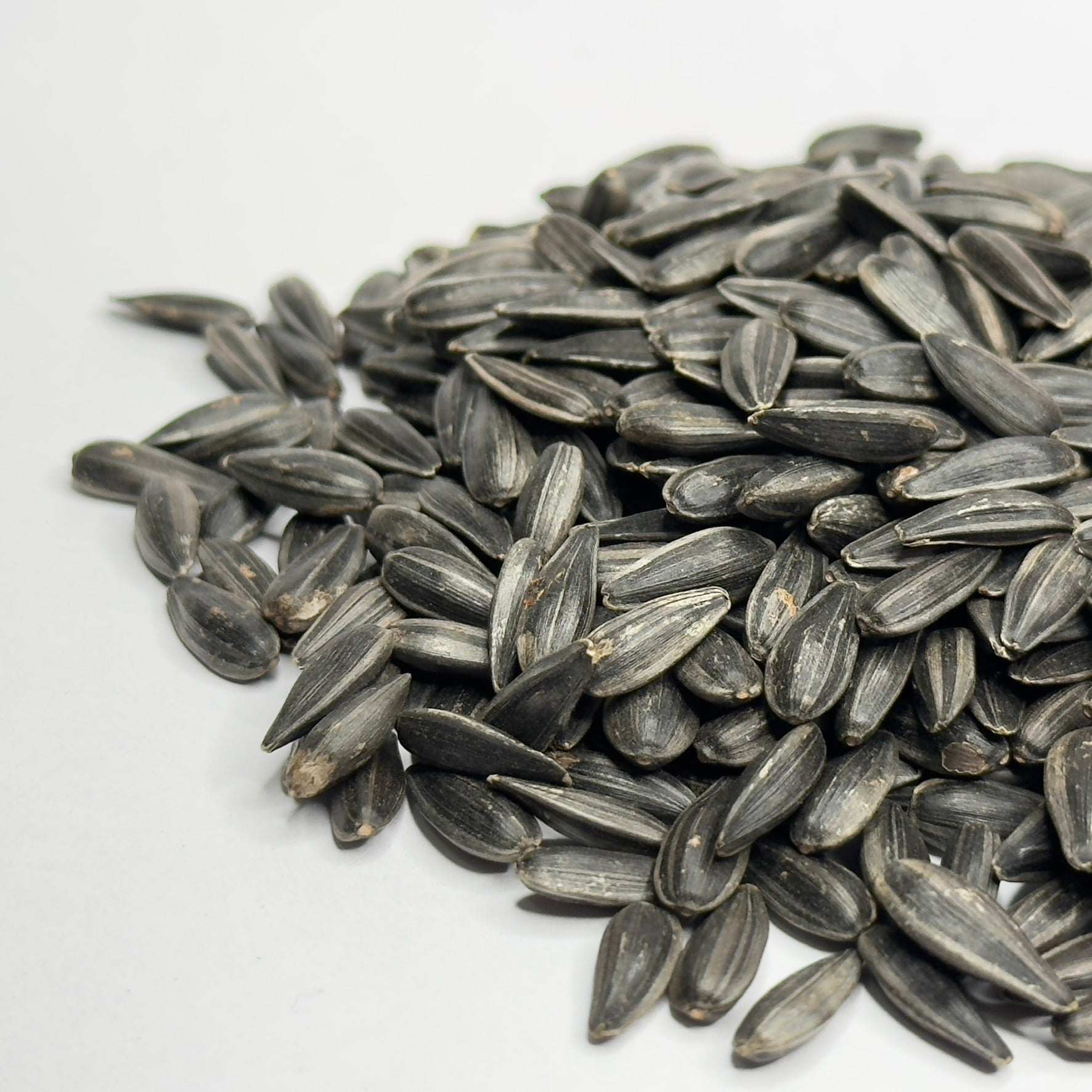 Organic Sunflower - microgreens seeds for growing