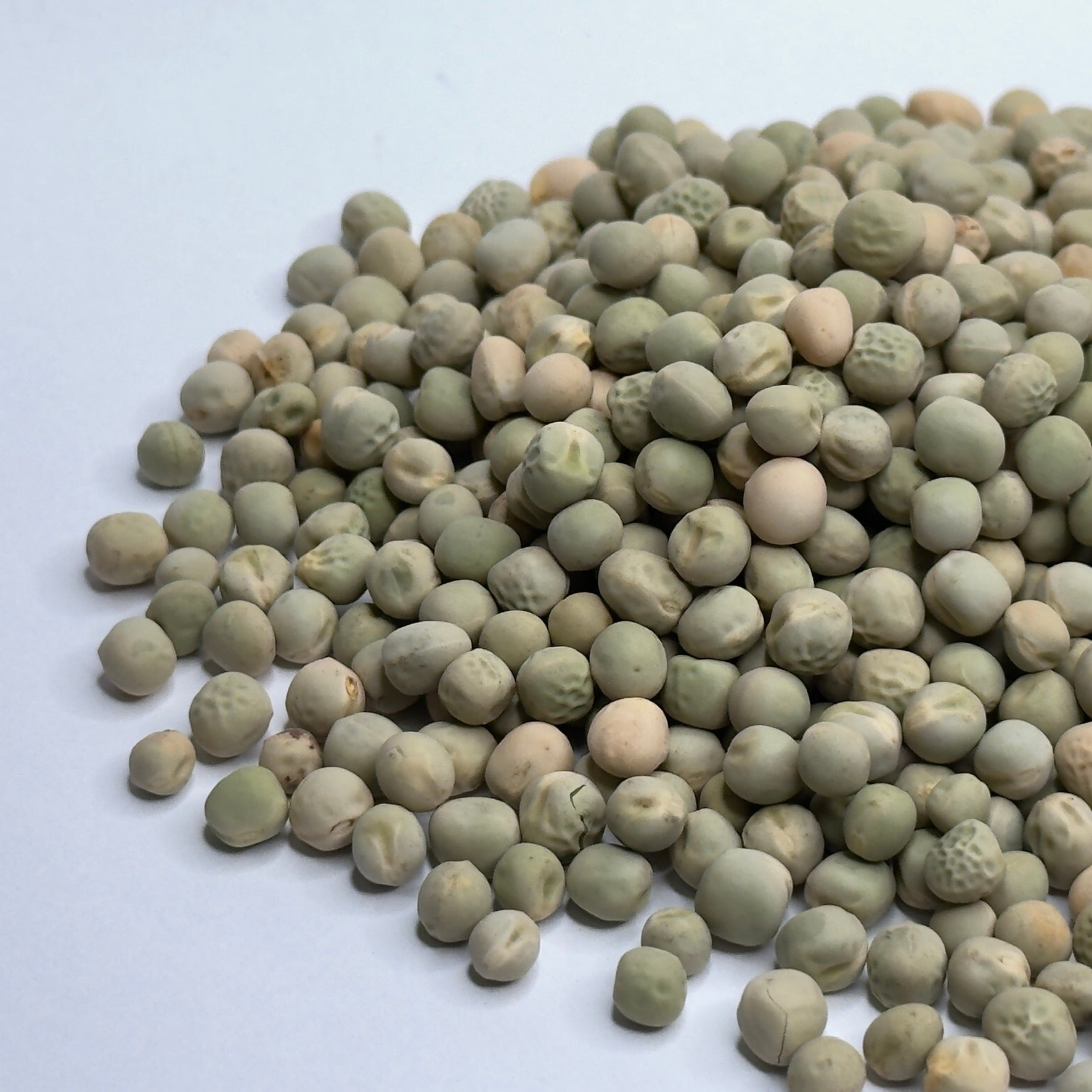 Peas Affila - microgreens seeds for growing