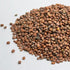 Radish, Black - microgreens seeds for growing