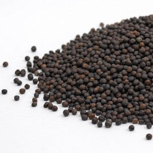 Rape - microgreens seeds for growing