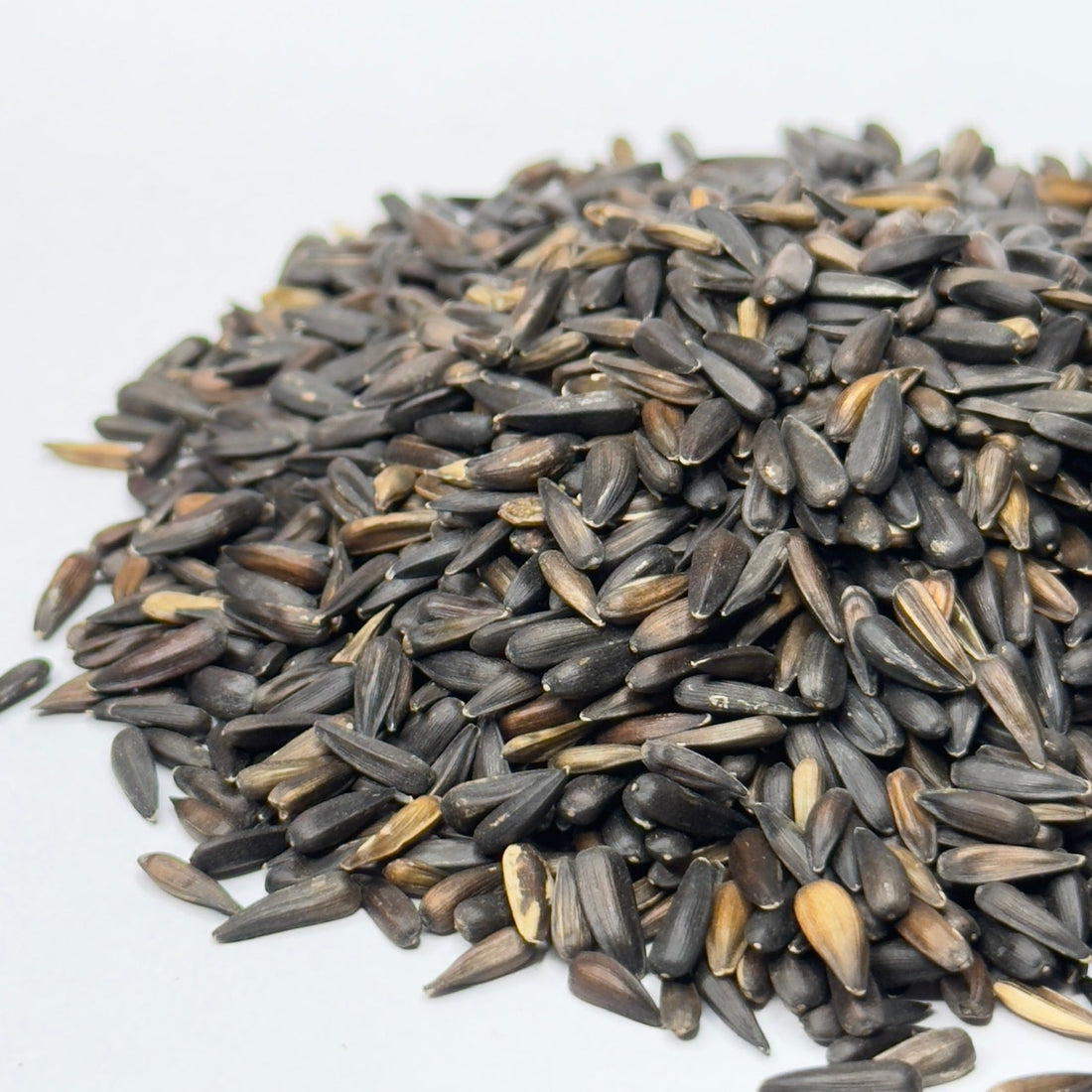 Sunflower (Micro Seeds) - microgreens seeds for growing