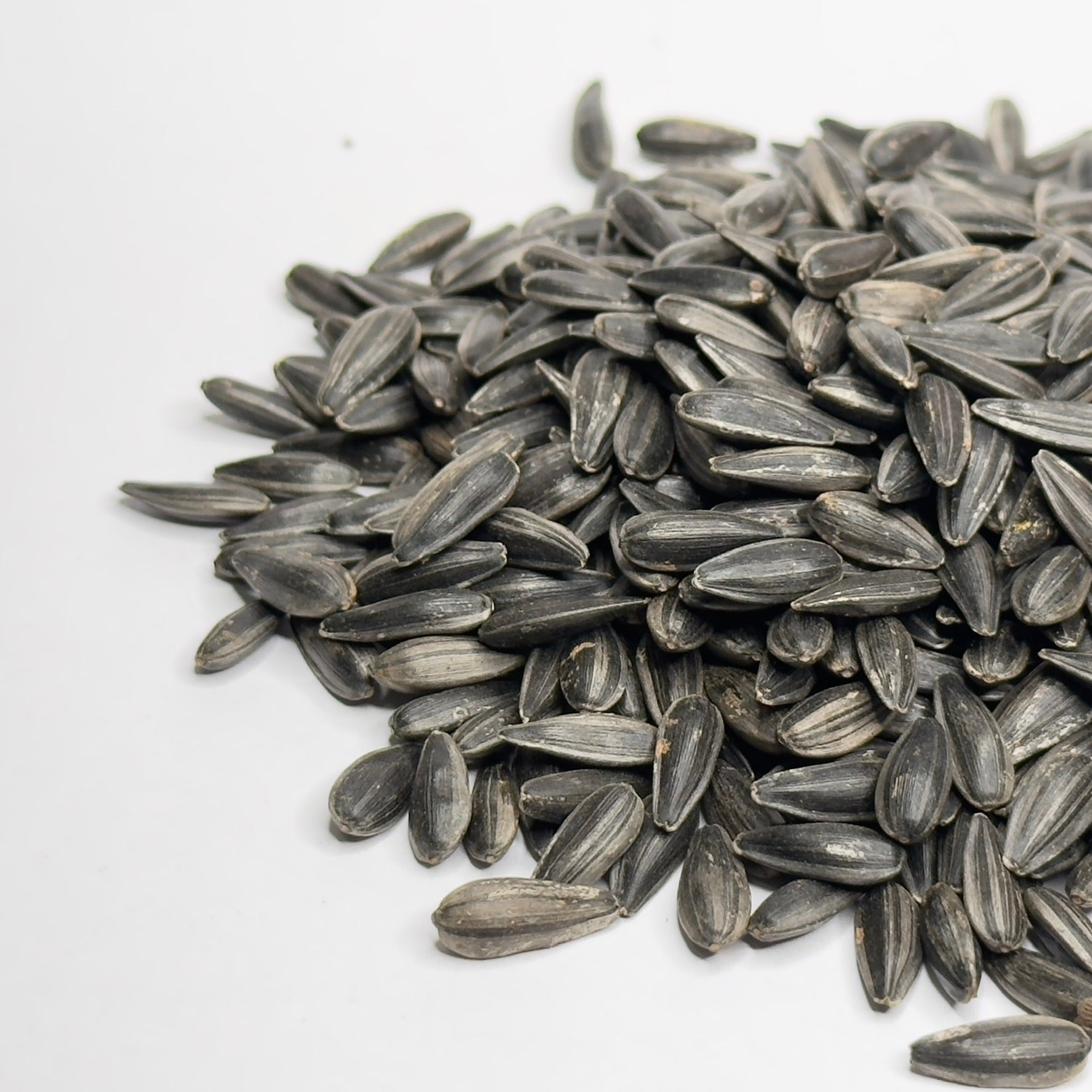 Sunflower - microgreens seeds for growing
