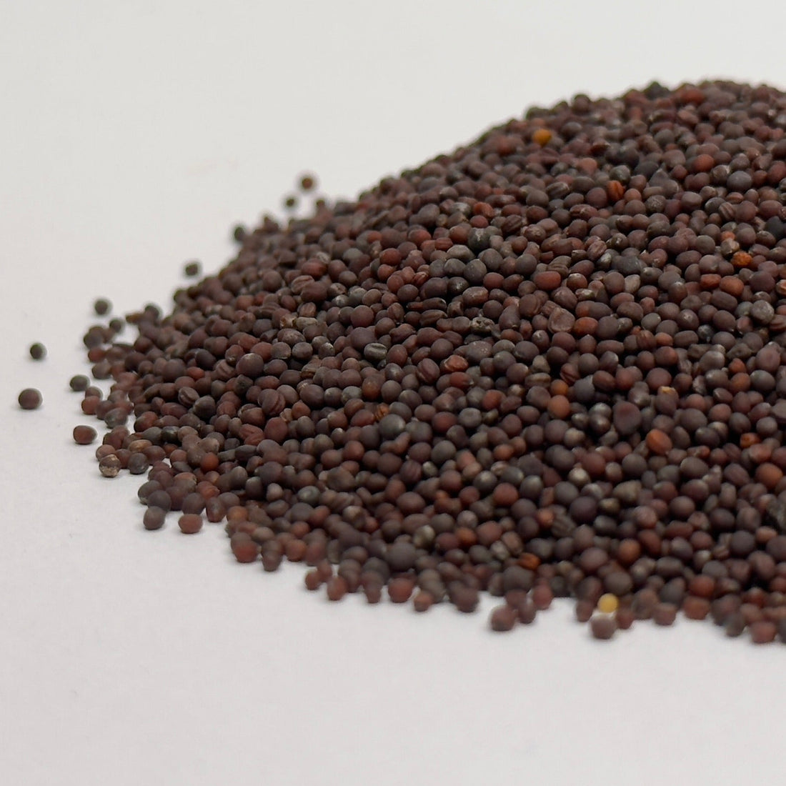 Turnip - microgreens seeds for growing