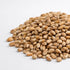Wheat - microgreens seeds for growing
